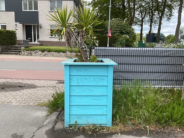Palmboom met plantenbak - afbeelding 1 van  3