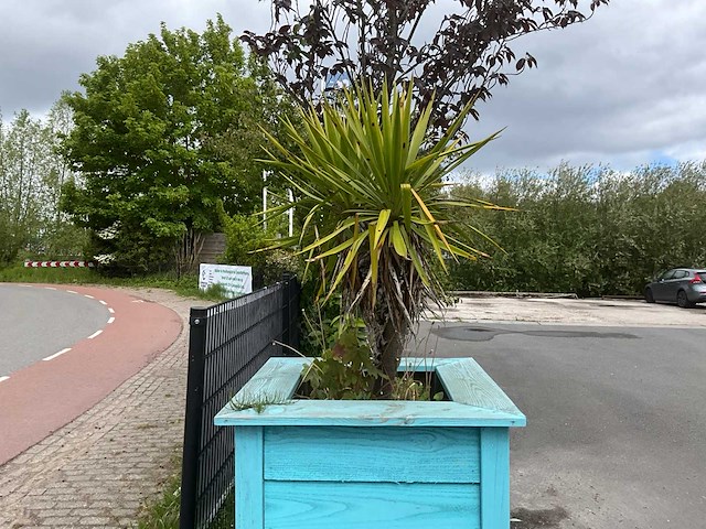 Palmboom met plantenbak - afbeelding 2 van  3