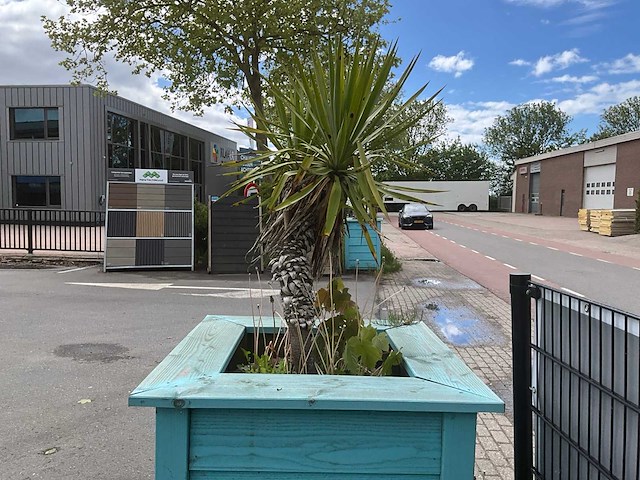 Palmboom met plantenbak - afbeelding 3 van  3