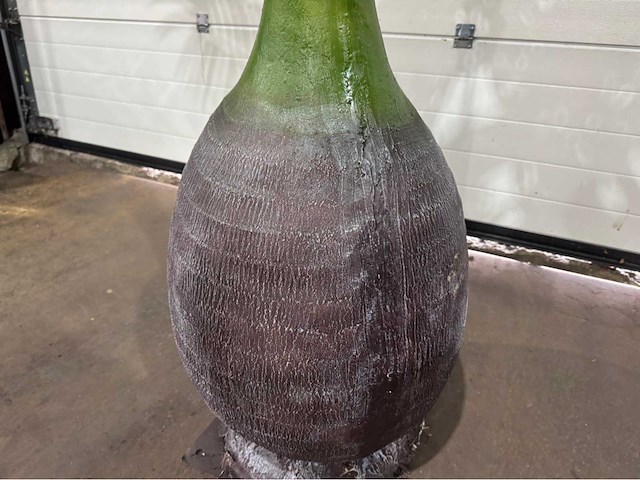 Palmboom - afbeelding 7 van  9