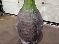 Palmboom - afbeelding 7 van  9