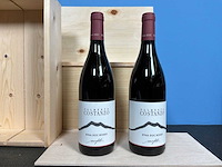 Palmento constanzo de etna nerello mascalese rode wijn 2021 (5x) - afbeelding 1 van  3