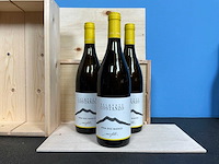 Palmento costanzo de etna carricante witte wijn 2023 (3x) - afbeelding 1 van  3