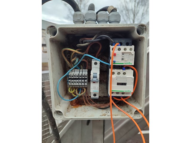 Palmia - afbeelding 2 van  14