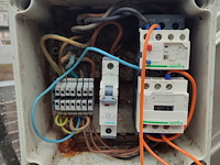 Palmia - afbeelding 2 van  14