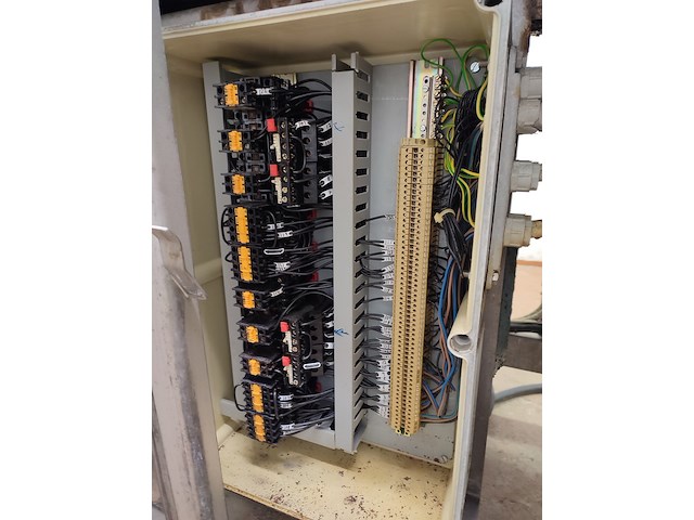 Palmia - afbeelding 4 van  18