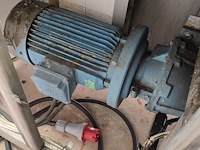 Palmia - afbeelding 8 van  18