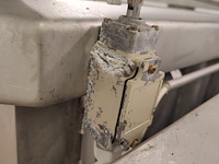 Palmia - afbeelding 10 van  18