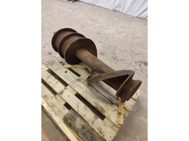 Palmia - afbeelding 3 van  9