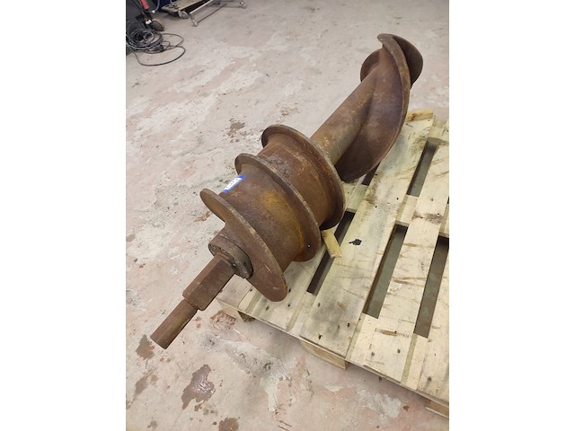 Palmia - afbeelding 4 van  9