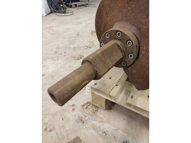 Palmia - afbeelding 5 van  9