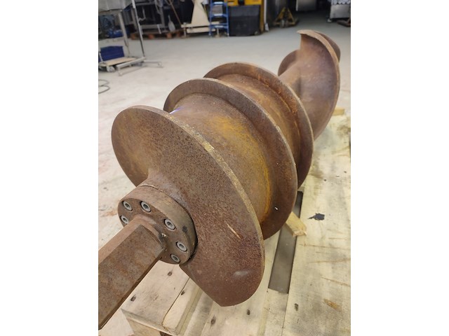 Palmia - afbeelding 6 van  9