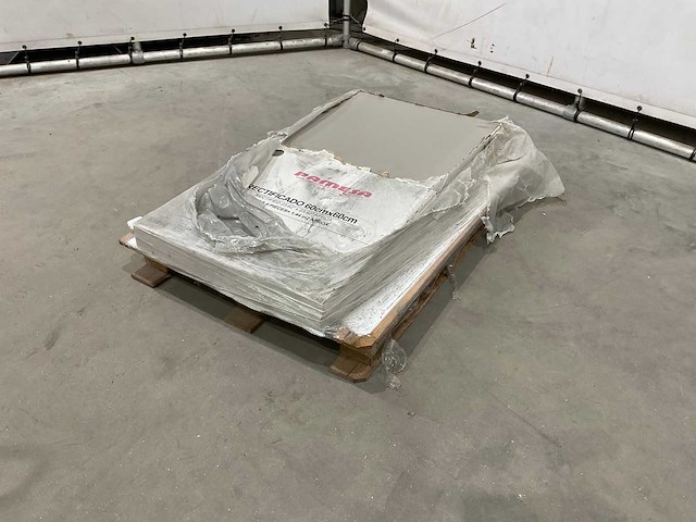 Pamesa - tegels 60x60 cm - afbeelding 1 van  6