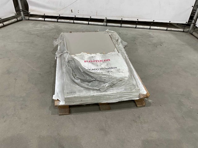 Pamesa - tegels 60x60 cm - afbeelding 3 van  6