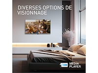 Panasonic tb-24s40aez s40-serie 24 inch hd led smart tv - afbeelding 4 van  7