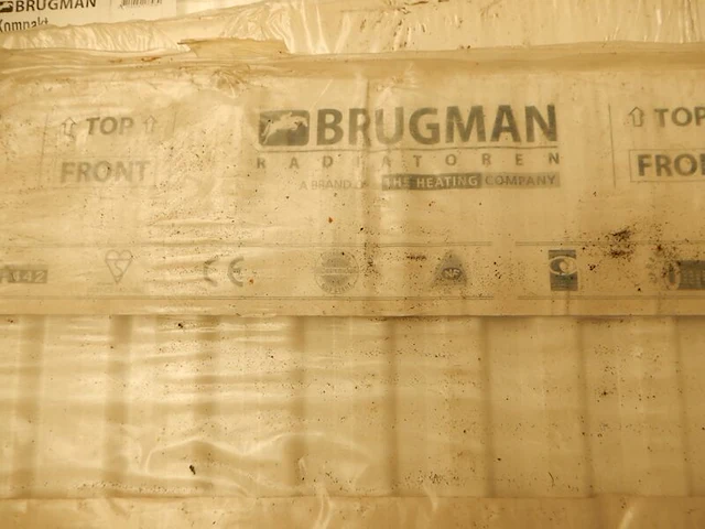 Paneelradiator, brugman, compact, wit, t11 300x960 - afbeelding 3 van  5