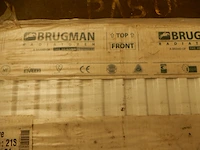 Paneelradiator, brugman, compact, wit, t21 300x960 - afbeelding 3 van  5