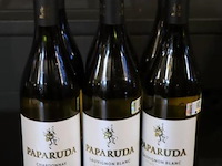 Paparuda chardonnay sauvignon blanc 2024 witte wijn - 6 flessen á 750ml - afbeelding 1 van  3