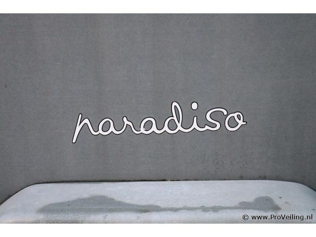 Paradiso 20p paardentrailer type pav/sr - 2.0 | kenteken: wv-04-bl - afbeelding 28 van  29