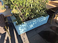 Parasol - afbeelding 5 van  5