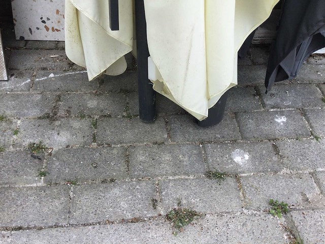 Parasols (2x) - afbeelding 3 van  4
