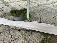 Parasols (4x) - afbeelding 4 van  11