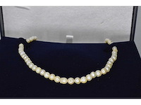 Parel snoer gele tag - afbeelding 2 van  5