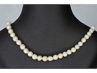 Parel snoer (gele tag)