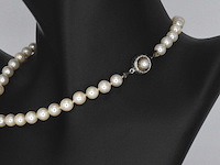 Parelsnoer met zilveren sluiting - afbeelding 9 van  9