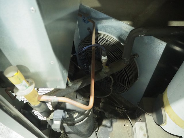 Parker - afbeelding 6 van  7