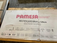 Parmesa wandtegel 60x120 cm ca. 5 m² - afbeelding 3 van  4