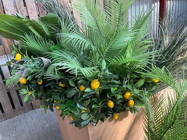 Partij - kunstplanten - afbeelding 1 van  1