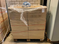 Partij allplast gezichtsbeschermings masker - afbeelding 8 van  8