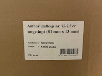 Partij anthuriumflesjes 75-7,5 cc ongedopt (81mm x 13mm) (28000x) - afbeelding 3 van  3