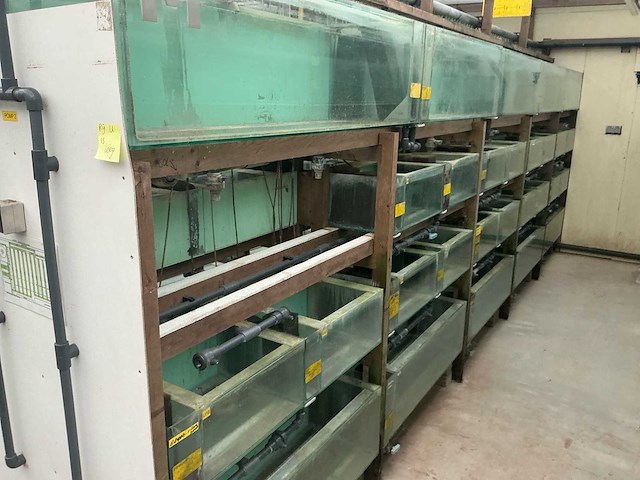 Partij aquariums (circa 1700 stuks) - afbeelding 12 van  23