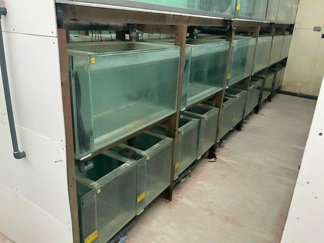Partij aquariums (circa 1700 stuks) - afbeelding 15 van  23