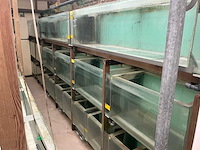 Partij aquariums (circa 1700 stuks) - afbeelding 18 van  23