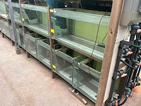 Partij aquariums (circa 1700 stuks) - afbeelding 23 van  23