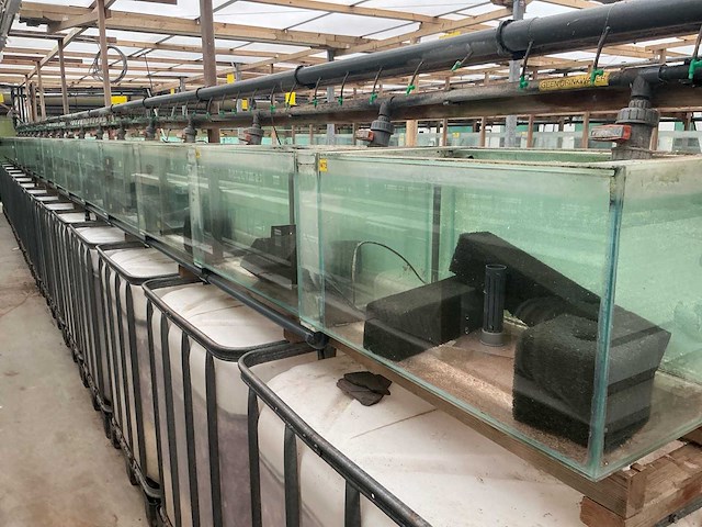 Partij aquariums (circa 1700 stuks) - afbeelding 7 van  23