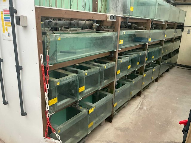 Partij aquariums (circa 1700 stuks) - afbeelding 2 van  20