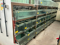 Partij aquariums (circa 1700 stuks) - afbeelding 2 van  20