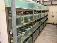 Partij aquariums (circa 1700 stuks) - afbeelding 5 van  20