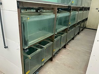 Partij aquariums (circa 1700 stuks) - afbeelding 7 van  20