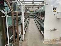 Partij aquariums (circa 1700 stuks)