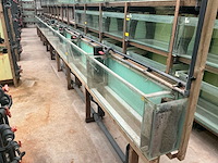 Partij aquariums (circa 1700 stuks) - afbeelding 12 van  20