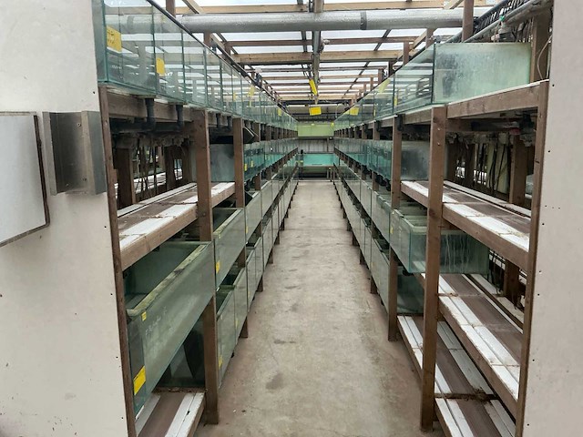 Partij aquariums (circa 1700 stuks) - afbeelding 10 van  20