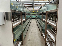 Partij aquariums (circa 1700 stuks) - afbeelding 10 van  20