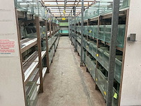 Partij aquariums (circa 1700 stuks) - afbeelding 14 van  20