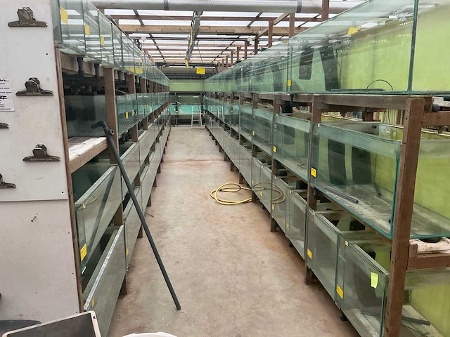 Partij aquariums (circa 1700 stuks) - afbeelding 15 van  20