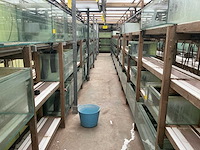 Partij aquariums (circa 1700 stuks) - afbeelding 17 van  20